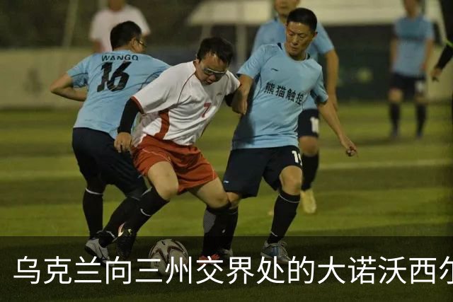 乌克兰向三州交界处的大诺沃西尔卡推进！夺取小迪布罗瓦