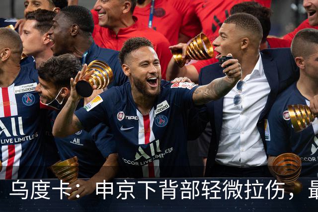 乌度卡：申京下背部轻微拉伤，最多缺席几场