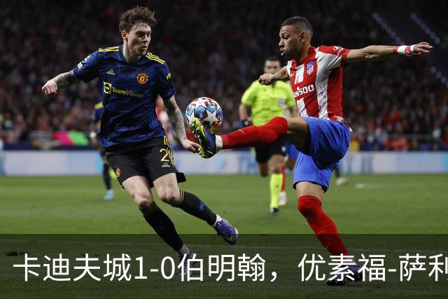 卡迪夫城1-0伯明翰，优素福-萨利赫一击制胜