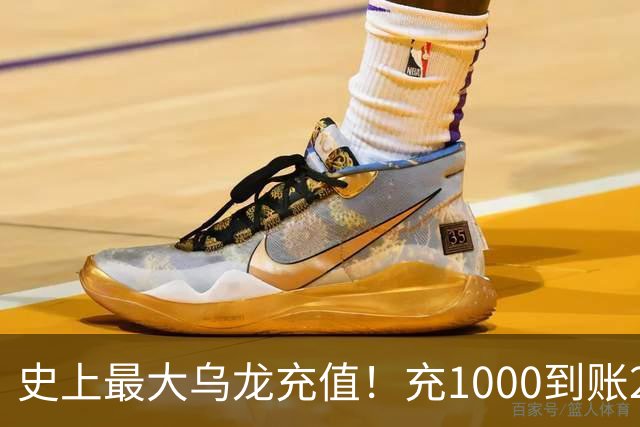 史上最大乌龙充值！充1000到账2641万亿，店主20天花了25万