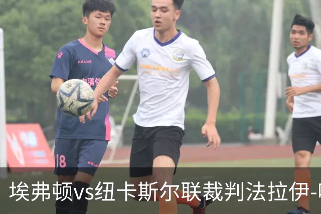 埃弗顿vs纽卡斯尔联裁判法拉伊-哈勒姆数据：近20场0红66黄6点