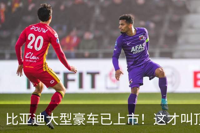 比亚迪大型豪车已上市！这才叫顶级颜值设计