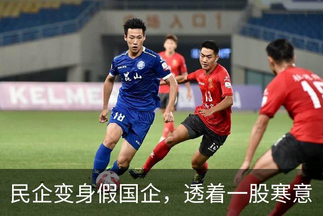 民企变身假国企，透着一股寒意