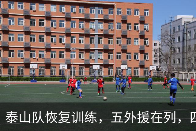 泰山队恢复训练，五外援在列，四人驰援B队，最新票务公告出炉