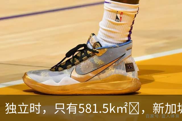 独立时，只有581.5k㎡‌，新加坡是怎么变“胖”的？