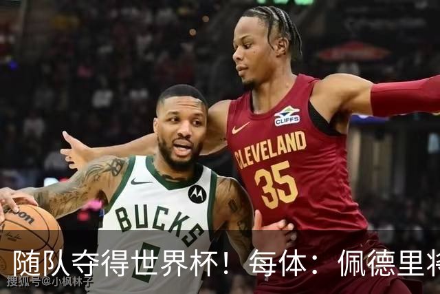 随队夺得世界杯！每体：佩德里将获颁家乡颁发的2026加那利体育奖