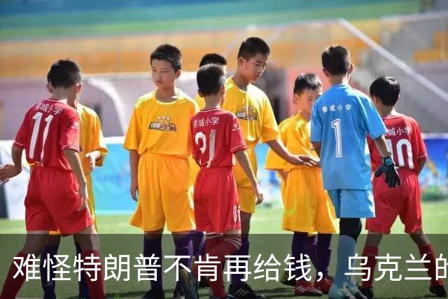 难怪特朗普不肯再给钱，乌克兰的秘密，美国人花了五个月摸清楚了