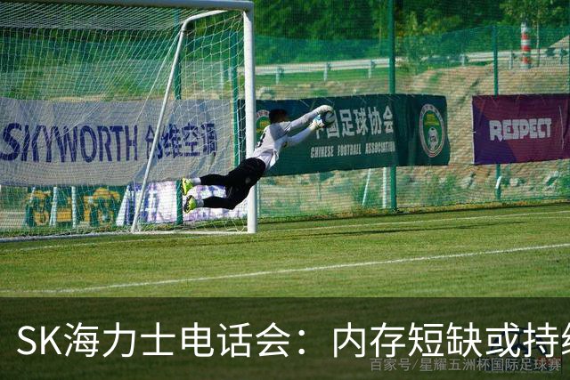 SK海力士电话会：内存短缺或持续至2030年，DRAM明年需求增幅预计超20%，将推进约100万亿韩元股东回报